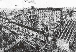 Na Warszawskiej Bornsteinów