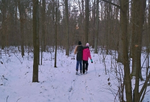 W lesie koło Cekanowa są wilki i wałęsają się psy