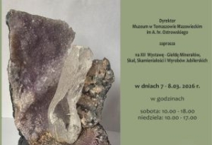 Skarby Ziemi w pałacu Ostrowskich