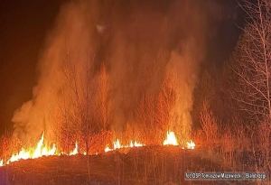 Bezmyślne wypalanie traw