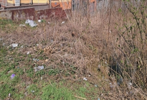 Brakuje koszy czy kultury?