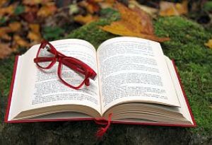 Biblioteki w październiku