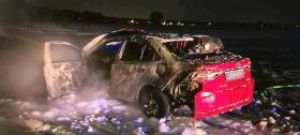 Strażacy na ratunek