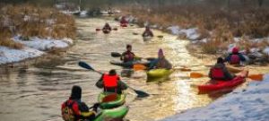 Pływają mimo mrozów