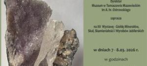 Skarby Ziemi w pałacu Ostrowskich