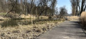 Dewastacje i zniszczenia w Parku Bulwary