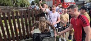 Poić wódką koguta nie będziemy