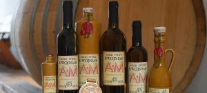 Pasieka Jaros z międzynarodowym medalem