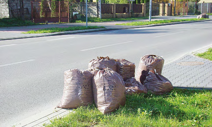 Niektórzy wiedzą jak segregować odpady zielone