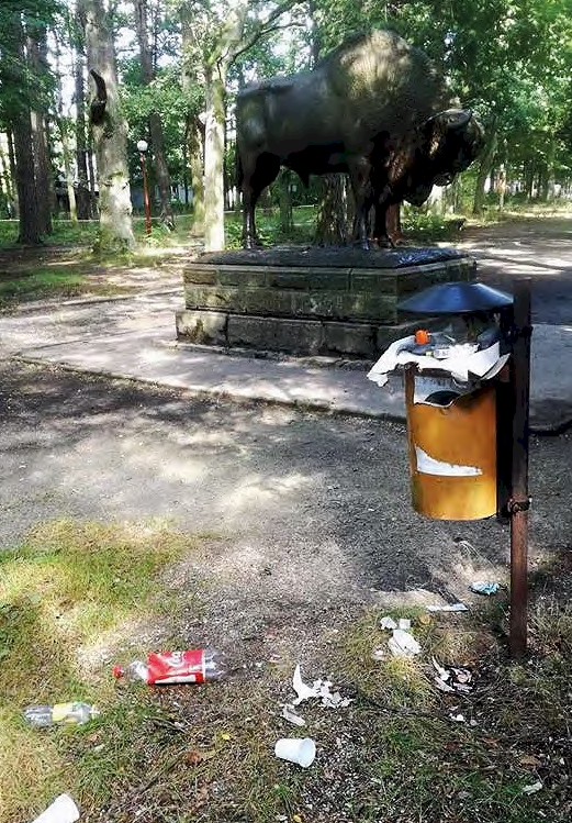 Wokół posągu często zalegają śmieci, których właściciele terenu nie dali posprzątać pracownikom gminy