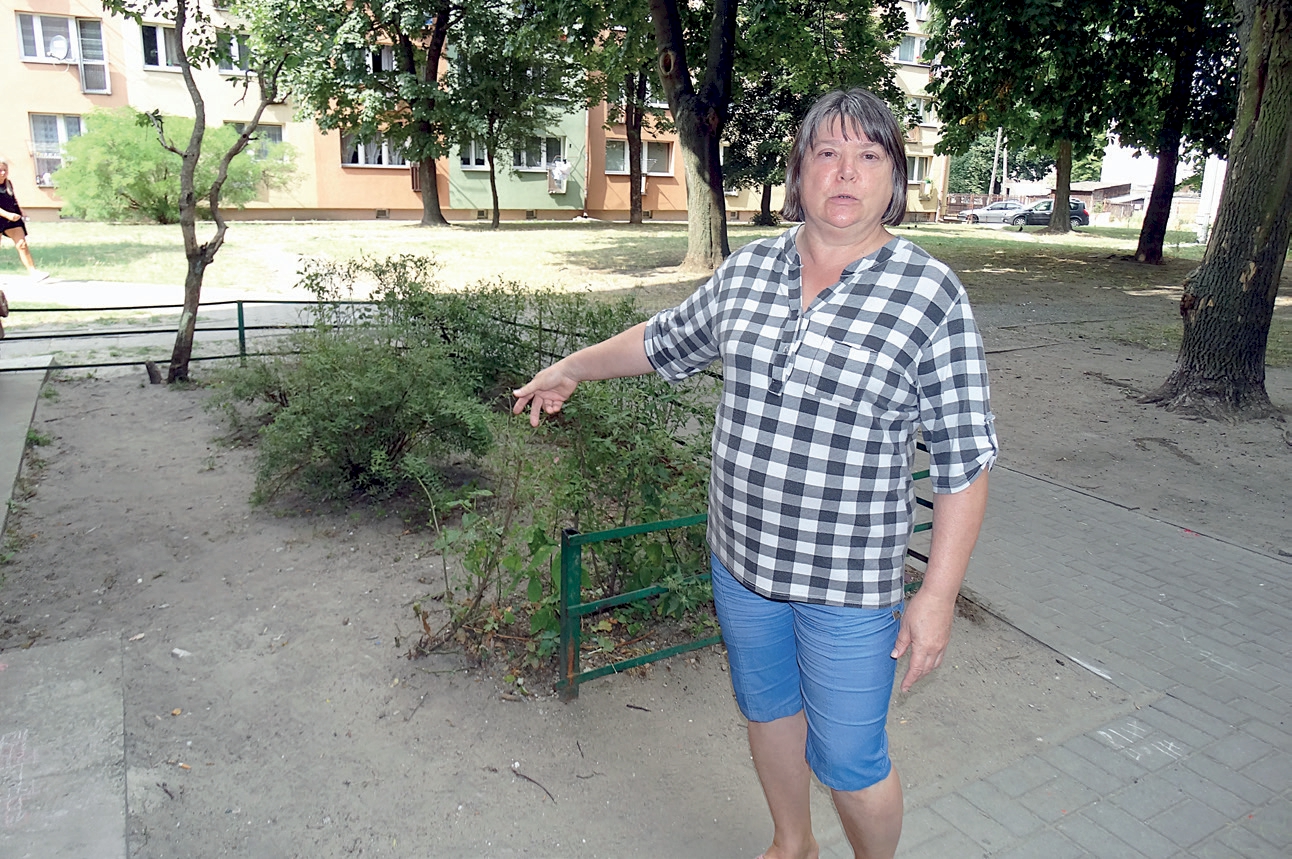 Jedna z mieszkanek ul. BGW mówi, że dzieci niszczą zieleń i barierki Jedna z mieszkanek ul. BGW mówi, że dzieci niszczą zieleń i barierki