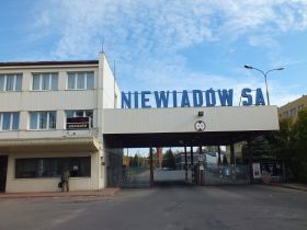Niewi