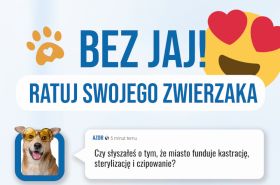 bez jaj m