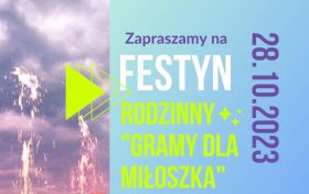 festyn m