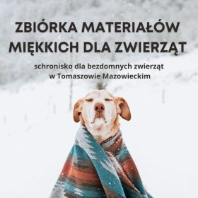 zbiorka m