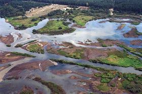 cofka sulejowskiego wypych parkikajobrazowe m