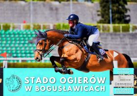 bogusławice m