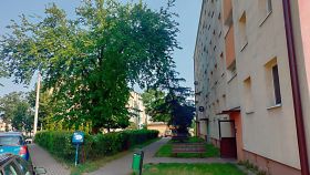 morwa m