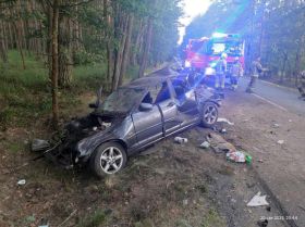 zmarła żądłowice m