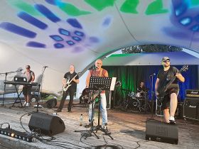 skóra z&nbsp;byka m