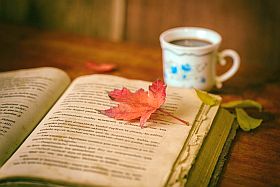 biblioteki jesień 280