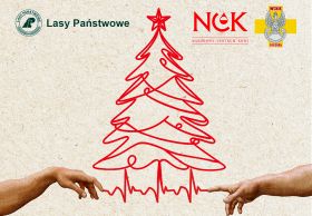 17.12 odbędzie się akcja krwiodawstwa "Choinka za życie"