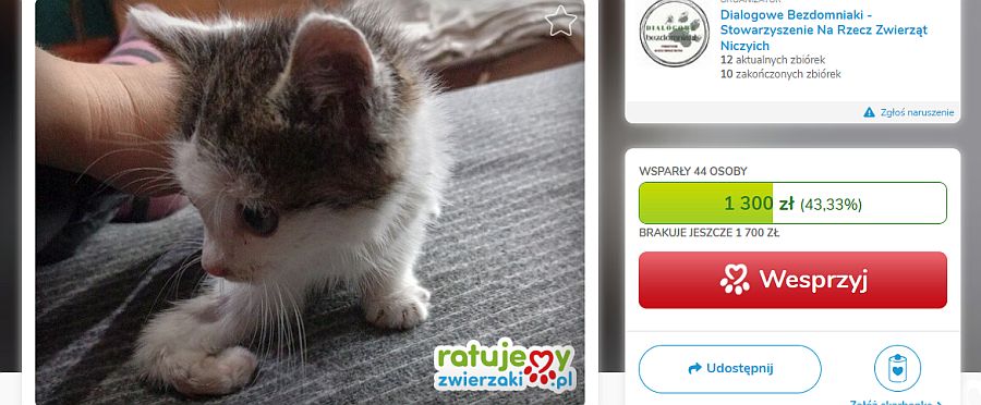 Trwa internetowa zbiórka na diagnostykę i leczenie młodziutkiego Gilberta (fot. ratujemyzwierzaki.pl)