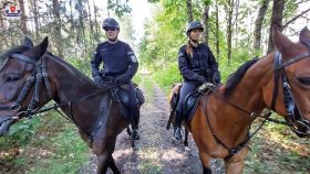 Patrole konne z&nbsp;jednostki ze Smardzewic strzegły granicy z&nbsp;Białorusią
