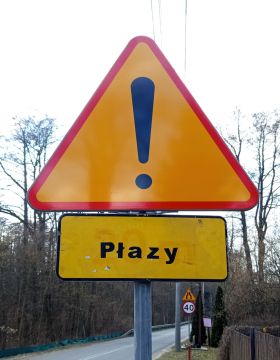 Kierowców przed wjazdem na&nbsp;teren migracji płazów ostrzegają takie znaki