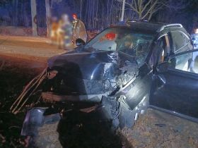 Lexus po potrąceniu dzika uderzył w&nbsp;drzewo