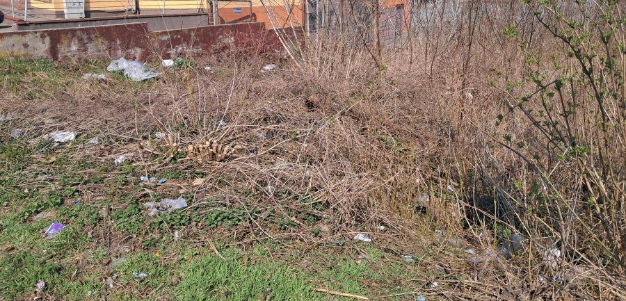 Tak wygląda teren przy ul. Farbiarskiej i przy Parku Bulwary