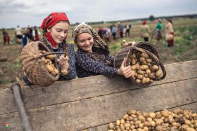 Dawny klimat wydarzenia podkreślały m.in. stroje i wiklinowe kosze, do których ręcznie zbierano z pola ziemniaki