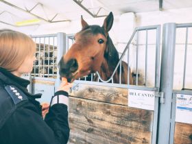 Policjanci z&nbsp;komisariatu w&nbsp;Smardzewicach na&nbsp;co dzień opiekują się nie tylko końmi