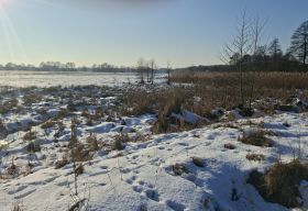 łąki henrykowskie m