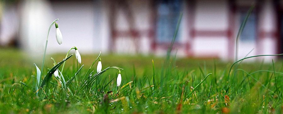 1 marca rozpoczyna się wiosna meteorologiczna