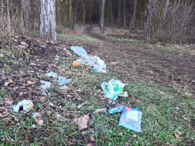 Ktoś zwozi śmieci do&nbsp;lasu przy Fabrycznej