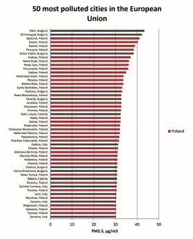 ranking