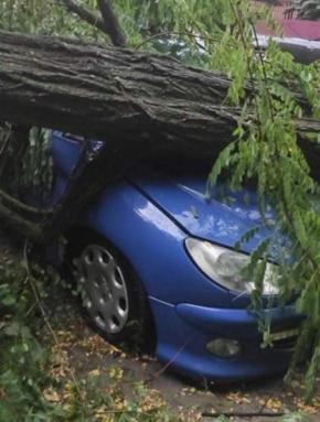 Drzewa łamały się jak zapałki