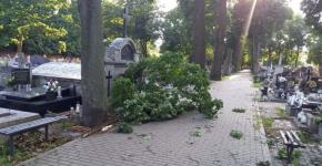 Cmentarze jak po kataklizmie