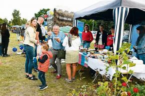 Lady Pank na scenie, tłumy na błoniach