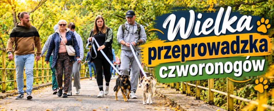 Zwierzęta już w nowym schronisku