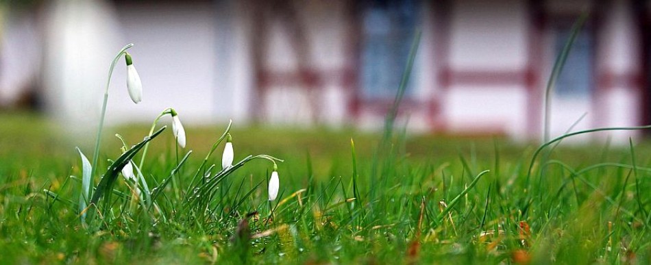 1 marca rozpoczyna się wiosna meteorologiczna